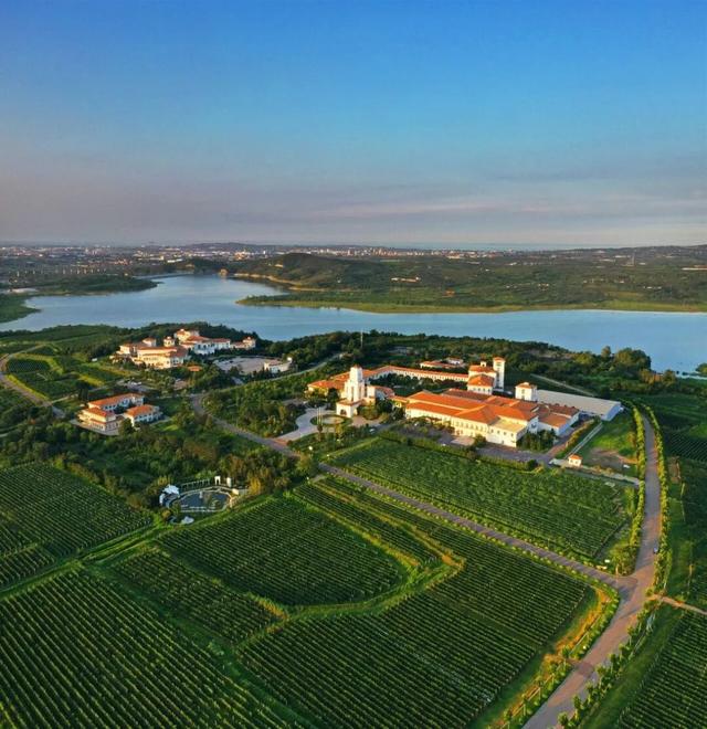 “齐鲁超赛”来了！蓬莱多家A级景区特惠狂欢→