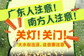 头皮发麻！不少广东人家里突现大量飞虫，紧急提醒图片