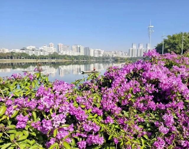 上榜全国暖冬城市TOP3！南宁，被低估的过冬宝藏地！不止温暖，更有看不完的风景和吃不完的美食