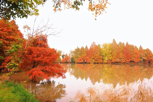 商视界｜柘城容湖初冬如画