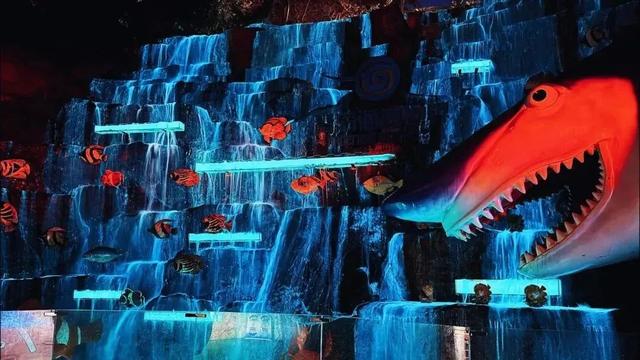 「海洋奇遇」谁还没体验？潜入深海狂欢季、穿越千年航海梦！每一秒都不浪费~