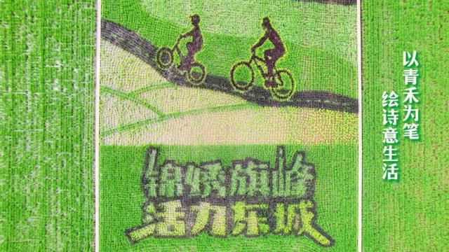 周末出发！打卡东莞市区这些「治愈系」风景