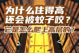 一图了然 ｜ 为什么住得高还会被蚊子咬？它是怎么爬上高层的？图片
