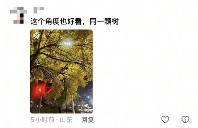 漫步日照之秋 | ① 巨好看！山东路的一颗秋天！