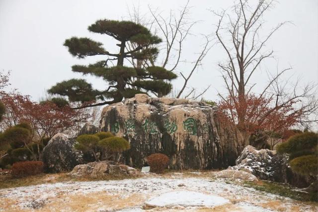 雪后的日照，美成水墨画！附最新闭园公告！