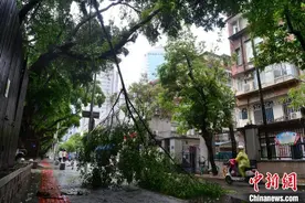 台风“格美”已致福建逾62万人受灾 多条江河发生超警戒水位洪水图片