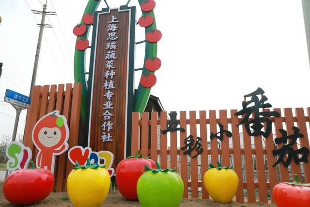 吃喝玩乐一条龙，就在金山这里→