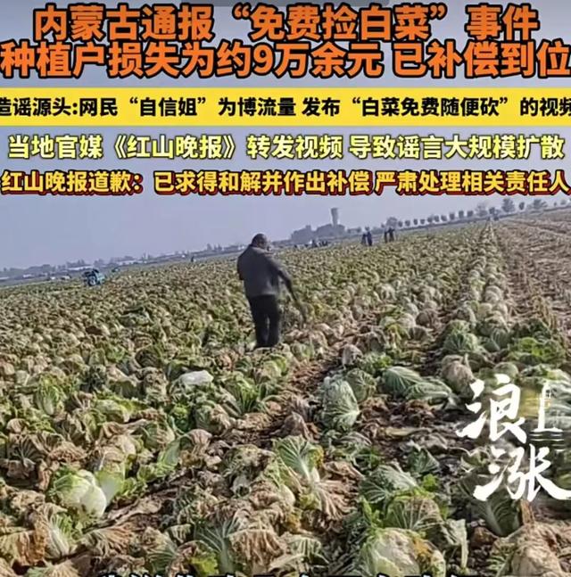 “免费捡白菜”事件：一出全链条失守的流量荒诞剧 | 新京报快评
