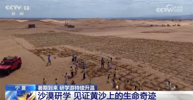 探秘雨林、寻踪国宝、见证奇迹……研学游持续升温点亮“暑期经济”