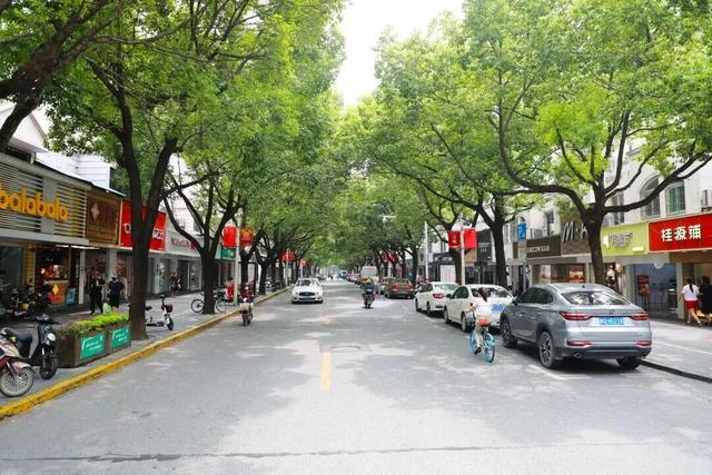 国庆休闲到奉贤｜南桥时光文化漫游攻略！国庆在奉贤进行一场 “与历史对话”的旅行