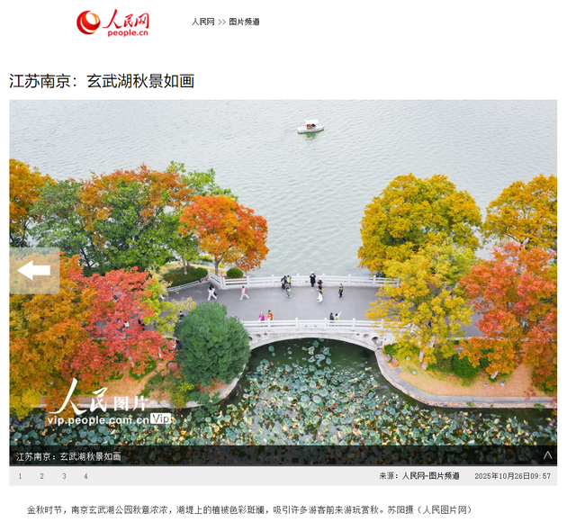 秋意渐浓，玄武湖台菱堤已“上妆”