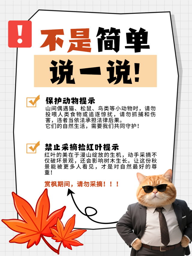 “今天我去栖霞山了！”