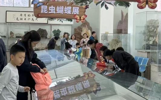 石头“开花”  恐龙“复活” 解读天宇自然博物馆的流量密码