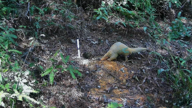绿色“奇迹”的先行者 | 世界生物圈保护区大会