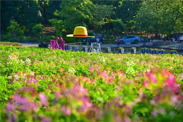 周末 ，宜回归自然！三水露营宝地推荐来了！