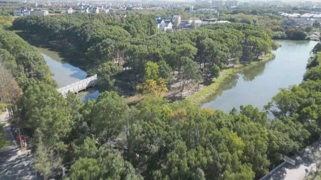 二期开放！未来有民宿、露营区、水上游乐设施