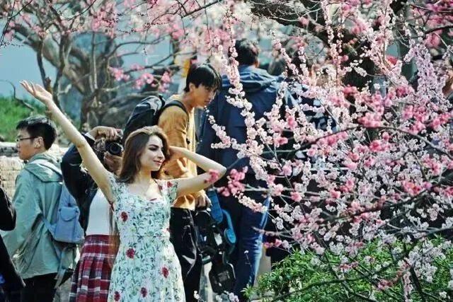 你手里的票根，又升值了！