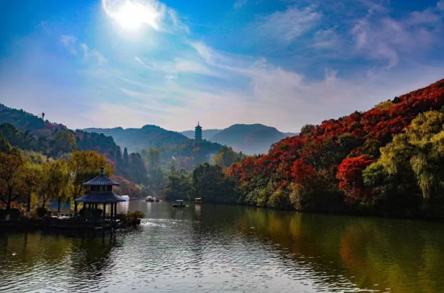 又到了美成“济南府”的季节
