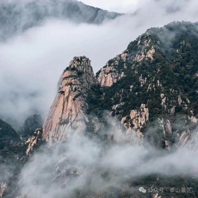 天晴了，雨停了，泰山云海先睹为快