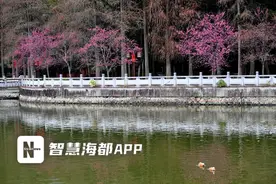 春雨绵绵“送”春寒！榕城未来10天多阴雨图片