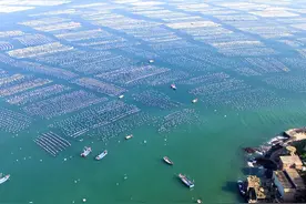 浙江仅舟山还未入夏！千岛之城何时迎来夏天？官方预测来了图片