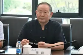 靴子落地！中国人寿原总裁杨超退休14年后落马，近日被传失联图片