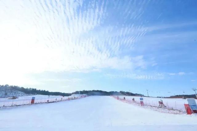 不如就来青岛过冬天！观鸥、看海、泡温泉……一起玩转山海