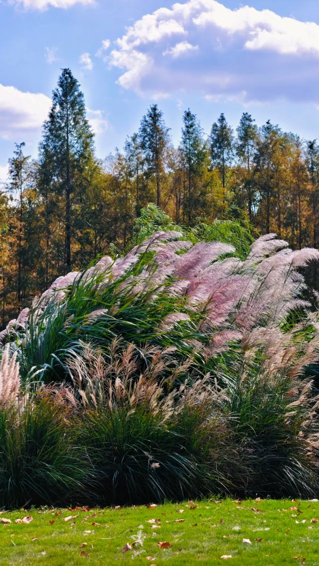 快来这个公园，捕捉五彩斑斓的秋色！