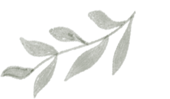 一场关于“景山”的古树自然课，触摸时光的形状，你来不？