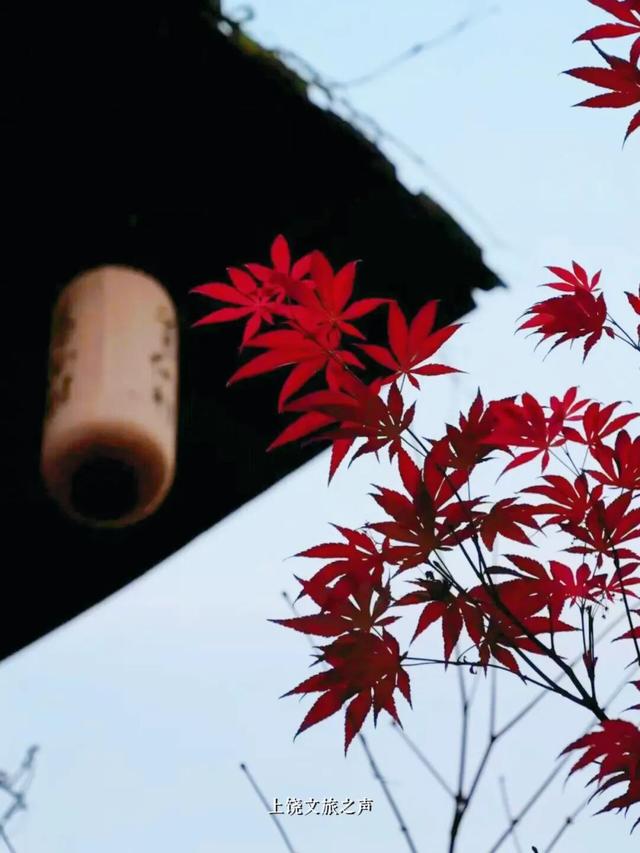 太惬意！这6个围炉煮茶好去处走起→