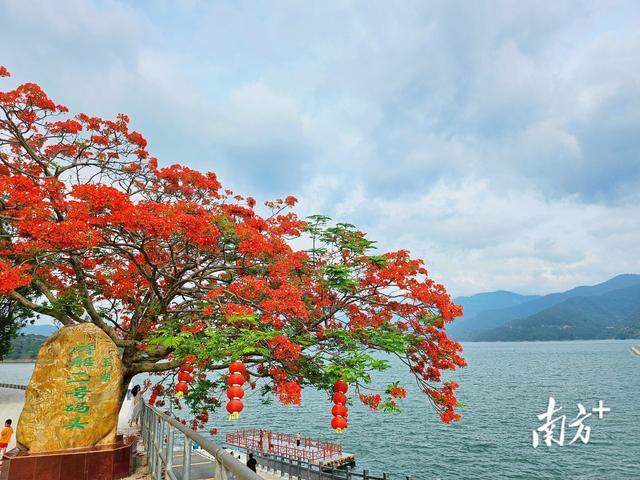 视觉|玉湖映翠 潋滟一色
