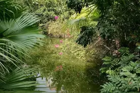 清明，不仅是祭奠祖先的节日，也是昭示风清日朗的节气图片