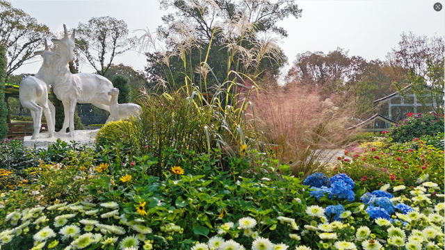 来了来了！南通秋天的仪式感