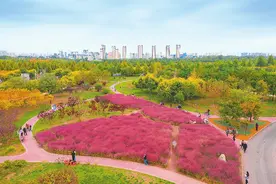 衡水宝云公园：秋景惹人醉 漫步正当时图片