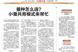 蚕种怎么选？小蚕共育模式来帮忙图片