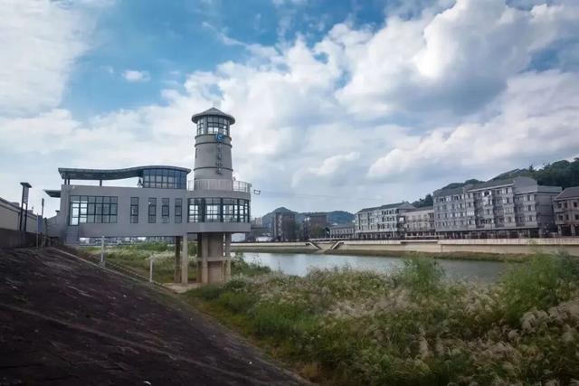 看！西险大塘的“蝶变四重奏”