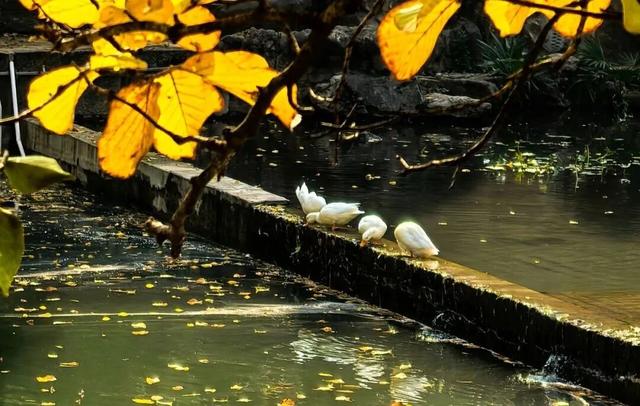 听劝，冬天在洛阳，就要这么玩！