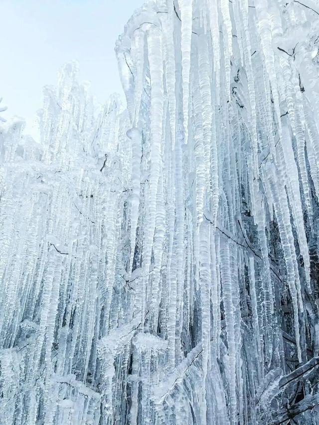 洛阳，新晋网红打卡地+1+1+1+1+1