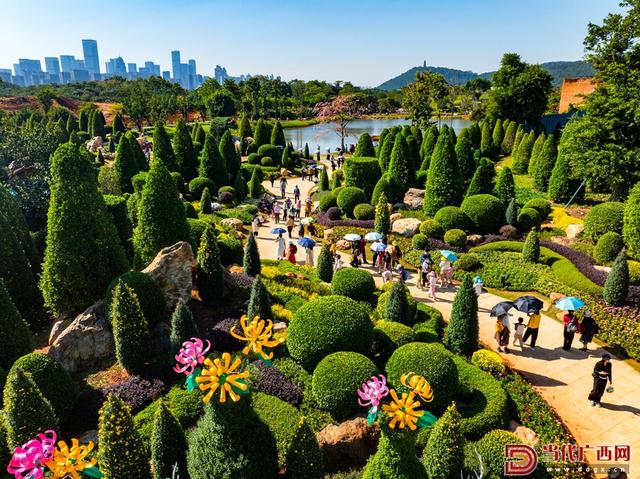 图集｜冬日青山美 游人醉其间