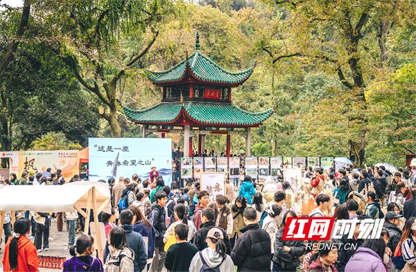 层林尽染，“枫”华正茂！快来“解锁”岳麓山红枫季游玩攻略