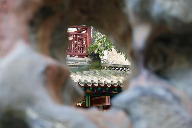 新视界｜如诗如画！冬至趵突泉 景色别样新