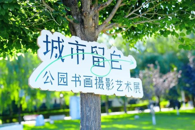 不止躺平！东胜区这处草坪的N种打开方式→