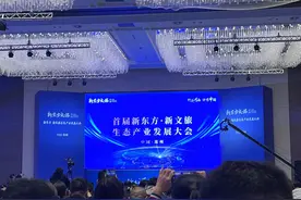 首届新东方·新文旅生态产业发展大会在郑州举办图片