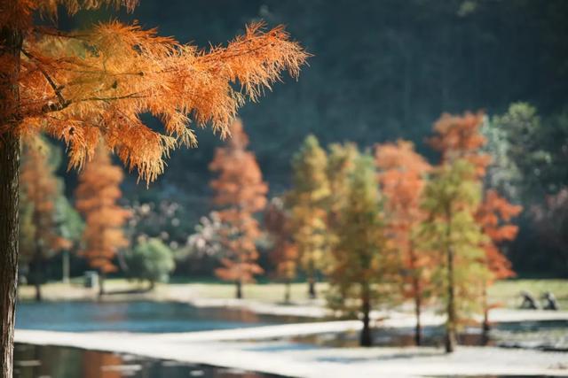 现在的黔南，已经美成这样了→