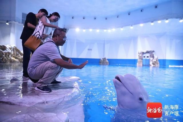 组图｜中外媒体团走进陵水 沉浸式感受海南海洋保育与海岛魅力