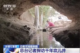 “甜蜜”产业越做越强 “火州”热经济蓬勃发展图片