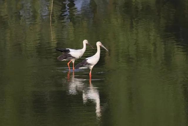 巢湖秋冬不可错过的10件事