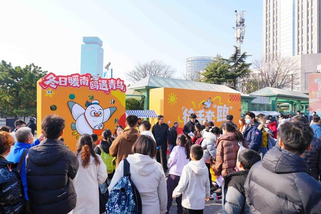海鸥与音乐共舞，生态文化融合！市南区启动“冬日暖南”活动