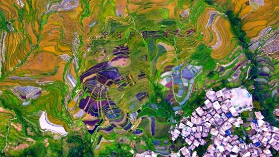 “云上梯田 和美元阳”云南省元阳县亮相《300秒看家乡》