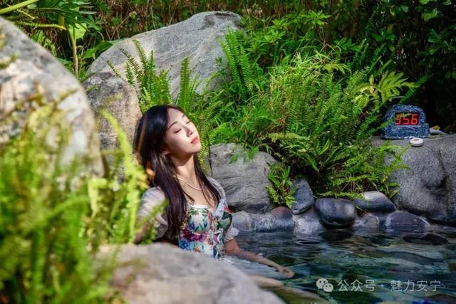 旅居安宁 | 在梅贻琦笔下寻一方“安宁”